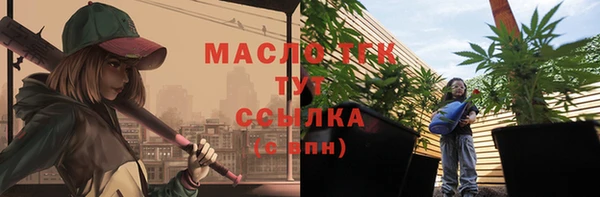 spice Инсар
