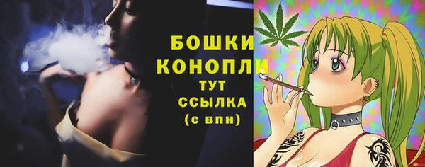 соль ск Инта