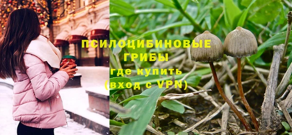 соль ск Инта