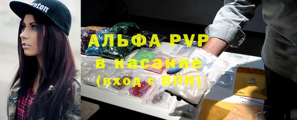 spice Инсар