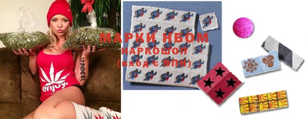 spice Инсар